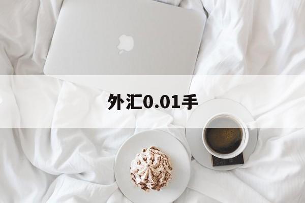 外汇0.01手(外汇001手保证金多少)